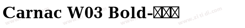 Carnac W03 Bold字体转换